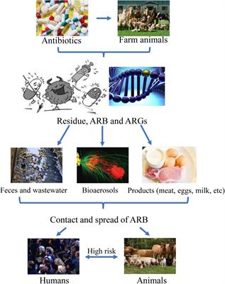 A Review of Current Bacterial Resistance to Antibiotics in Food Animals